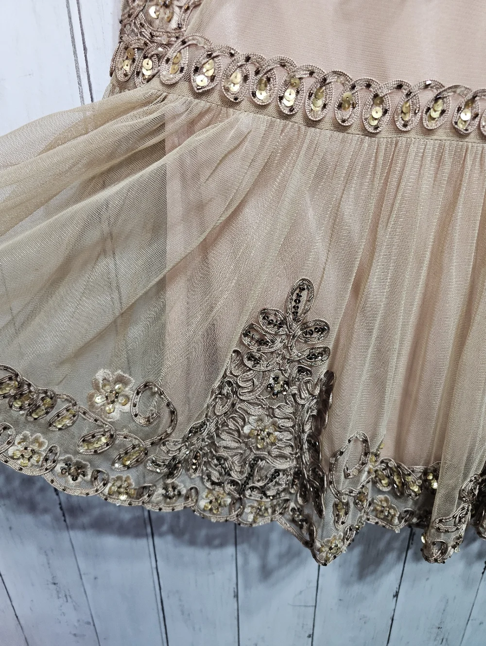 Sue Wong Nocturne Champagne Embroidered Beaded Drop Waist Dress Size 4 Lined. - Picture 5 of 13